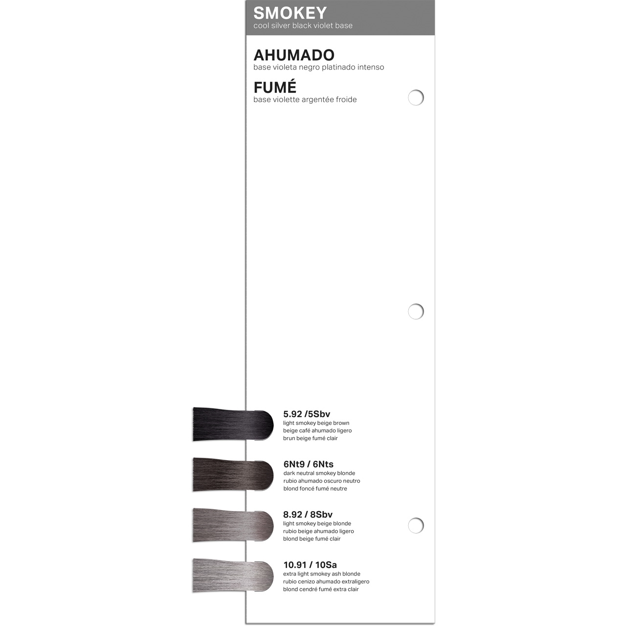 ChromaSilk Smokey Series Swatch Book Insert