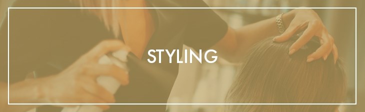 CATEGORY GENERIC Single Styling
