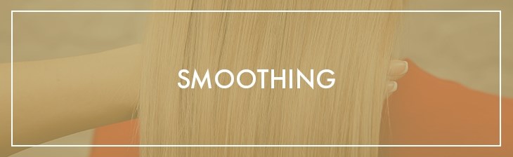 CATEGORY GENERIC Single Smoothing