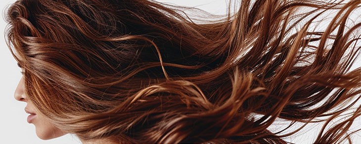 BRAND GENERIC Double gama.professional Brand Image
