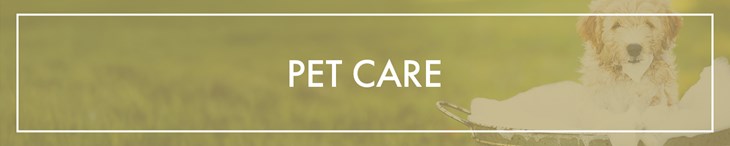 CATEGORY GENERIC Single Pet Care