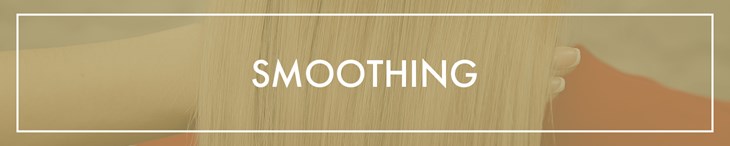 CATEGORY GENERIC Single Smoothing