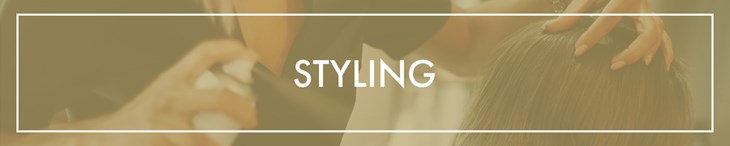 CATEGORY GENERIC Single Styling