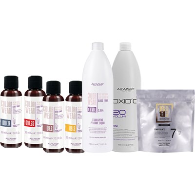 Alfaparf Milano Gloss Toner Intro 65 pc.