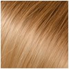 Babe Ombre 12/600-Gabby 18.5 inch
