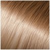 Babe Ombre 12/60-Louise 18.5 inch
