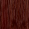 KEVIN.MURPHY COLOR 6.43/6CG- Dark Blonde Copper Gold 3.3 Fl. Oz.