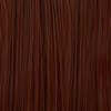 KEVIN.MURPHY COLOR 7.34/7GC- Medium Blonde Gold Copper 3.3 Fl. Oz.
