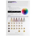COLOR.ME by KEVIN.MURPHY BLONDE HIGH.LIFT SWATCHCARD