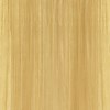 KEVIN.MURPHY COLOR 10.03/10NG- PLATINUM.NATURAL.GOLD 2 Fl. Oz.