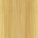 KEVIN.MURPHY COLOR 10.03/10NG- PLATINUM.NATURAL.GOLD 2 Fl. Oz.
