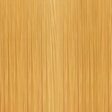 KEVIN.MURPHY COLOR 10.4/10C- PLATINUM.COPPER 2 Fl. Oz.