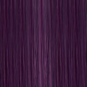 COLOR.ME by KEVIN.MURPHY 6.85/6VM- DARK.BLONDE.VIOLET.MAHOGANY 2 Fl. Oz.