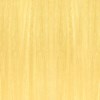 KEVIN.MURPHY COLOR GOLD.TONER 3.3 Fl. Oz.