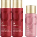 Colorproof Volume Holiday Kit 4 pc.