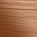 ELEVEN Australia 7.03/7.NG- Medium Blonde Natural Gold 2 Fl. Oz.