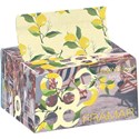 Framar Limoncello Pop Up Foil 5 inch x 11 inch 500 ct.