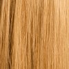 Hotheads Garnet (6C- Medium, warm blonde) 16 inch