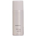 KEVIN.MURPHY SESSION.SPRAY FLEX 3.4 Fl. Oz.