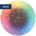 KEVIN.MURPHY COLOR Wall Colour Wheel