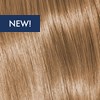 KEVIN.MURPHY COLOR 8.73/8CHG- LIGHT.BLONDE.CHOCOLATE.GOLD 2 Fl. Oz.