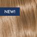 KEVIN.MURPHY COLOR 8.73/8CHG- LIGHT.BLONDE.CHOCOLATE.GOLD 2 Fl. Oz.