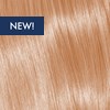 KEVIN.MURPHY COLOR 9.75/9CHM- VERY.LIGHT.BLONDE.CHOCOLATE.MAHOGANY 2 Fl. Oz.
