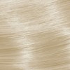 KEVIN.MURPHY COLOR GLOSS 10.13/10AG- PLATINUM.ASH.GOLD 2 Fl. Oz.