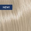 KEVIN.MURPHY COLOR 10.1/10A- PLATINUM.BLONDE.ASH 3.4 Fl. Oz.