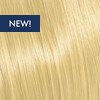 KEVIN.MURPHY COLOR 10.0/10N- PLATINUM.BLONDE.NATURAL 3.4 Fl. Oz.