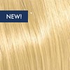 KEVIN.MURPHY COLOR 10.03/10NG- PLATINUM.BLONDE.NATURAL.GOLD 3.4 Fl. Oz.