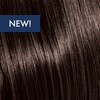 KEVIN.MURPHY COLOR 5.1/5A- LIGHT.BROWN.ASH 3.4 Fl. Oz.