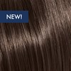KEVIN.MURPHY COLOR 6.1/6A- DARK.BLONDE.ASH 3.4 Fl. Oz.