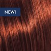 KEVIN.MURPHY COLOR 6.4/6C- DARK.BLONDE.COPPER 3.4 Fl. Oz.