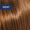 KEVIN.MURPHY COLOR 6.3/6G- DARK.BLONDE.GOLD 3.4 Fl. Oz.