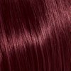 KEVIN.MURPHY COLOR 6.5/6M- DARK.BLONDE.MAHOGANY 3.4 Fl. Oz.