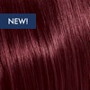 KEVIN.MURPHY COLOR 6.5/6M- DARK.BLONDE.MAHOGANY 3.4 Fl. Oz.