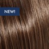 KEVIN.MURPHY COLOR 6.0/6N- DARK.BLONDE.NATURAL 3.4 Fl. Oz.