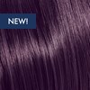 KEVIN.MURPHY COLOR 6.8/6V- DARK.BLONDE.VIOLET 3.4 Fl. Oz.