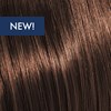 KEVIN.MURPHY COLOR 6.7/6ch- DARK.BLONDE.CHOCOLATE 3.4 Fl. Oz.
