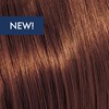 KEVIN.MURPHY COLOR 6.73/6chG- DARK.BLONDE.CHOCOLATE.GOLD 3.4 Fl. Oz.