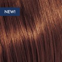 KEVIN.MURPHY COLOR 6.73/6chG- DARK.BLONDE.CHOCOLATE.GOLD 3.4 Fl. Oz.