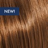 KEVIN.MURPHY COLOR 7.3/7G- MEDIUM.BLONDE.GOLD 3.4 Fl. Oz.