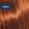 KEVIN.MURPHY COLOR 7.34/7GC- MEDIUM.BLONDE.GOLD.COPPER 3.4 Fl. Oz.