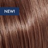 KEVIN.MURPHY COLOR 7.77/7chch- MEDIUM.BLONDE.CHOCOLATE.INTENSE 3.4 Fl. Oz.