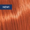 KEVIN.MURPHY COLOR 8.43/8CG- LIGHT.BLONDE.COPPER.GOLD 3.4 Fl. Oz.