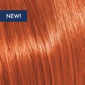 KEVIN.MURPHY COLOR 8.43/8CG- LIGHT.BLONDE.COPPER.GOLD 3.4 Fl. Oz.
