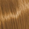 KEVIN.MURPHY COLOR 8.3/8G- LIGHT.BLONDE.GOLD 3.4 Fl. Oz.