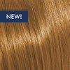 KEVIN.MURPHY COLOR 8.3/8G- LIGHT.BLONDE.GOLD 3.4 Fl. Oz.