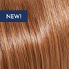 KEVIN.MURPHY COLOR 8.77/8chch- LIGHT.BLONDE.CHOCOLATE.INTENSE 3.4 Fl. Oz.